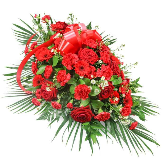 A stately red and green funeral spray stretches across a white background, its design flowing horizontally with a gentle taper that suggests calm movement and a carefully planned structure. At its core, clusters of deep red roses form the emotional focal point; some are in tight bud, promising depth even in their restraint, while others unfold into full, layered blooms that evoke devotion, courage, and profound affection. Nestled closely among them, red carnations with their distinctive ruffled petals add an almost cloud-like softness, creating waves of texture that seem to cushion the roses. Here and there, red gerbera daisies rise slightly above the other flowers, their broad, daisy-like faces and darker centres acting like exclamation points within the composition, bringing clarity and focus to the strong red theme. Sprinkled between these larger blooms are small, gentle clusters of white filler flowers, likely baby's breath or petite chrysanthemums, which glow subtly against the rich reds and dark greens, suggesting points of light or quiet moments of reflection. Framing everything is a lush skirt of greenery: long, arching palm leaves extend from the base and along the sides, giving a sweeping, elongated silhouette, while compact, darker leaves such as salal or ruscus tuck into every gap to ensure a full, opulent appearance. A glossy red satin ribbon is gathered into a full bow near the upper section, its loops rounded and formal, with flowing tails that cascade through the flowers as though guiding the eye along the length of the spray. This thoughtful arrangement, typical of a casket spray or front-facing tribute chosen for services in Canonbury and surrounding north London chapels, communicates honour, remembrance, and a steadfast love that feels as anchored as the leafy squares and quiet corners of the local neighbourhood.