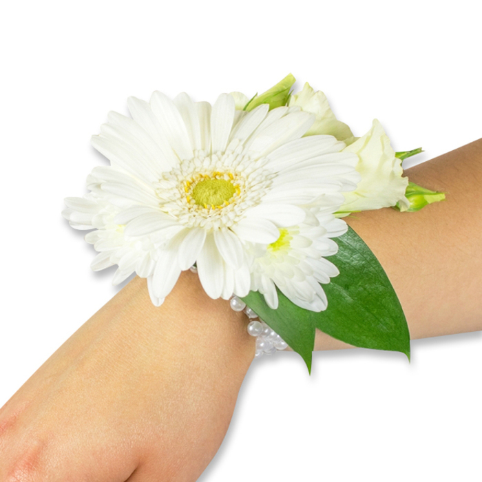 A striking white floral wrist corsage is displayed on a forearm of fair to medium skin tone, positioned at a slight angle against a bright white backdrop that highlights the arrangement's sculpted details. Dominating the piece is a vibrant white Gerbera daisy with abundant, silky petals arranged in concentric layers around a textured lime-green and yellow central disk, which reads almost like a painted focal point. Complementing the Gerbera are smaller clusters of pristine white chrysanthemum-style blooms and tender, creamy lisianthus buds, their softer, ruffled edges creating a pleasing contrast to the Gerbera's broad, graphic petals. Rich, deep green foliage-reminiscent of salal or Ruscus-fans out behind and beneath the flowers, adding depth and a natural silhouette that frames the wrist. The flowers are secured by an elegant, multi-strand faux pearl bracelet that gleams gently in the light, its neat rows anchoring the composition close to the skin. The overall impression is one of purity, careful craftsmanship, and quiet celebration: a corsage suited for formal events from a Canonbury wedding rehearsal to a graduation on nearby Upper Street. Sensory touches-cool satin petals, a faint, green, almost citrus leaf scent, and the slight weight of pearls-make the piece feel alive and wearable, a small floral story composed to harmonise with a white dress or a tailored suit while remaining comfortable for an evening of photographs and meaningful moments.