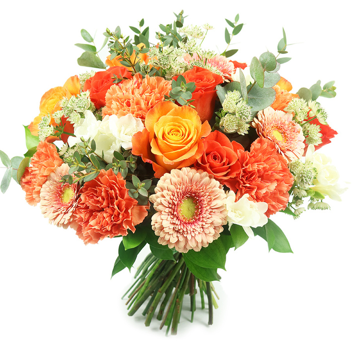 Presented against a brilliant white backdrop, this luxurious, hand-tied floral arrangement reads like a small celebration in bloom. The bouquet is perfectly rounded and densely planted, featuring prominent multi-tonal roses that range from vibrant orange to sunny gold; some bloom fully with swirling petals, others linger as deeper-hued buds, creating depth and the suggestion of time unfolding. Layered among them are voluminous coral and burnt-orange carnations whose ruffled, multi-layered petals add sumptuous texture and generous volume. Several soft peach gerbera daisies open with flat, radiating petals, each centred by a subtle yellow-green eye that adds a modern, graphic touch. Interspersed white spray flowers - tiny, delicate freesia-like blossoms or miniature carnations - provide crisp, luminous points that lift the warmer palette. Airy, pale-green Astrantia-style fillers and slender feathery sprouts thread a soft, botanical lightness through the composition, while the signature rounded eucalyptus leaves, in their muted grey-green, frame the bouquet and offer a cool, fragrant counterpoint. The stems are neatly gathered and tied at the base, the hallmark of a professional hand-tied design suited to sit as a striking centrepiece at an intimate Canonbury supper or on a reception table near New River Walk. The scent is a composed balance of rosy sweetness and herbaceous foliage; the visual effect is warm, celebratory and sophisticated - ideal for autumn events, anniversaries, or a refined gift for a neighbour in Islington.