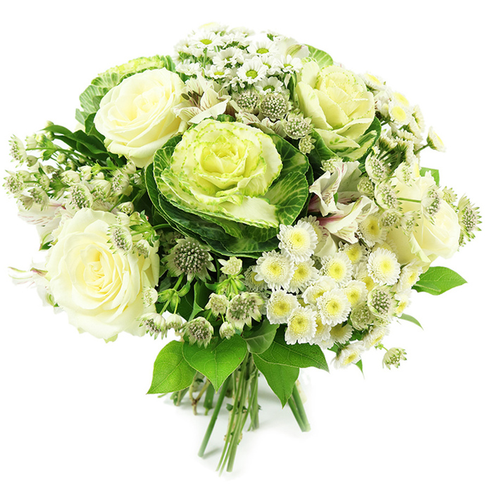 A refined white-and-green hand-tied bouquet is shown against a bright, untextured white background, allowing every nuance of petal and foliage to be appreciated as if it had just arrived from a Canonbury Flowers delivery. At the centre, fully opened creamy white roses dominate, each bloom composed of tightly packed inner petals that gradually loosen into softer, outward-curving edges, creating a plush, layered effect suggestive of timeless elegance. Flanking and interspersed with the roses, ornamental kale or flowering cabbage forms dramatic focal points, their rosette-shaped heads filled with rippling leaves that shift from deep, saturated green at the outer rim to pale, luminous green and yellow-green toward the heart. These sculptural forms lend a distinctly modern, garden-inspired twist to the classic bouquet. Scattered among them, small white spray chrysanthemums and daisy-like blossoms with fresh yellow-green centres offer a light, airy contrast, their many fine petals giving the impression of tiny suns or stars. Threaded through the design are slender stems of greenish-white astrantia, their spiky, star-shaped blooms adding intricate texture and a slightly wild, meadowy character. Occasional hints of white alstroemeria, some with delicate striping, peek from between the larger flowers, further enriching the composition. The entire arrangement is embraced by lush green foliage, ranging from broader, more substantial leaves to lighter, more feathery greens, which frame the blooms and lend depth. The stems at the base are neatly aligned and bound, indicating a carefully crafted hand-tied bouquet ready to be placed in a vase in a period flat near Canonbury Station or along Essex Road. Visually, the bouquet communicates clarity, freshness, and understated luxury, ideal for weddings, sympathy tributes, or sophisticated gifts across Canonbury and surrounding North London neighbourhoods.