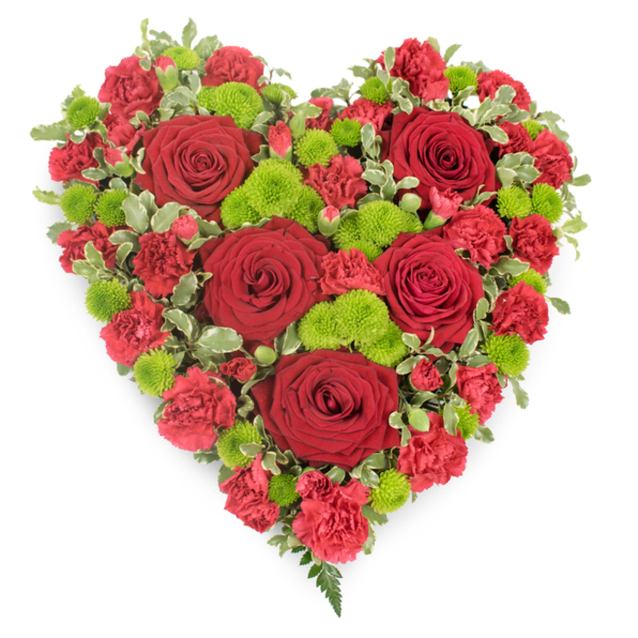 This image shows a striking heart-shaped funeral tribute set against a pure white background, the simplicity of the backdrop highlighting every detail of the floral work. The heart is completely filled with flowers, dominated by sumptuous red roses whose petals curl inward at the centre and unfurl gracefully toward the edges, creating soft, velvety spirals of deep crimson. Nestled around these focal blooms are countless smaller red carnations, their finely ruffled petals overlapping like delicate fabric, adding texture and depth so the heart appears full and reassuringly solid. Scattered throughout are bright lime-green button chrysanthemums, perfectly rounded and tightly petalled, creating flashes of lively colour that break up the expanse of red and add a sense of freshness and hope. Along the perimeter, sprigs of variegated pittosporum foliage, with green centres and creamy margins, form a subtle leafy frame that enhances the definition of the heart without overwhelming it. From the lower point of the heart, a small spray of fern fronds extends slightly outward, bringing a final touch of natural grace and movement. The overall impression is of a lovingly crafted memorial piece, the kind a Canonbury family might choose for a farewell at a local chapel after passing the leafy streets around Canonbury Square. The design feels both contemporary and timeless, balancing vibrant colour with restraint and dignity. It is suited to express enduring love, deep gratitude, or quiet remembrance, whether laid beside a casket, placed at a crematorium, or delivered to a Canonbury home as a comforting tribute in a time of loss.