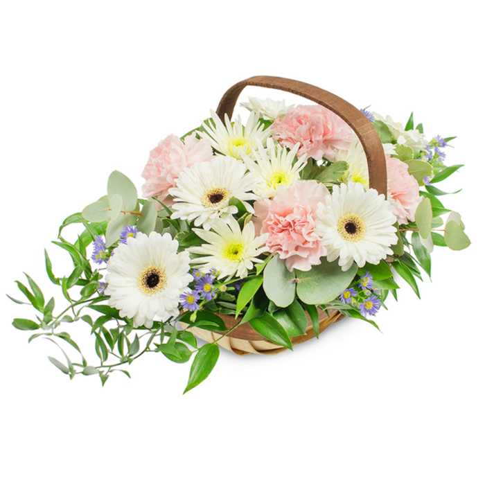 An elegant, rounded basket arrangement captured in clear, natural light, speaking softly through a palette of white, pale pink and soothing greens. The bouquet is arranged in a pale, woven wicker basket with a substantial curved handle that arches over the flowers, giving the piece a handcrafted, market-fresh character reminiscent of bouquets sold at nearby Canonbury Road markets. At the centre are several white Gerbera daisies - their broad, silky petals form clean circles around dark brown to pitch-black central disks that provide a bold, grounding contrast. Interspersed among these are plentiful blush carnations whose many ruffled layers produce a cloud-like, tactile quality that invites gentle touch. Filling the gaps are clusters of small, daisy-like chrysanthemums or asters in white and light buttery yellow, which contribute a cheerful fullness and visual lightness. Tiny lavender-blue accent flowers dot the composition, offering cool, jewel-like notes among the warmer tones. The greenery is abundant and texturally varied: silvery, rounded eucalyptus leaves introduce a soft, modern sheen and faint aromatic hint, while rich, glossy ruscus branches trail to the left, creating a subtle cascade and natural asymmetry. The photograph's bright, even lighting highlights the freshness of the petals and the basket's woven grain, conveying a sense of careful floral craftsmanship. This arrangement suits many purposes - a thoughtful bedside gift, a calm centrepiece for a small gathering near Newington Green or Highbury Fields, or a respectful tribute - and reflects the quiet, considered floral work often requested by Canonbury neighbours.