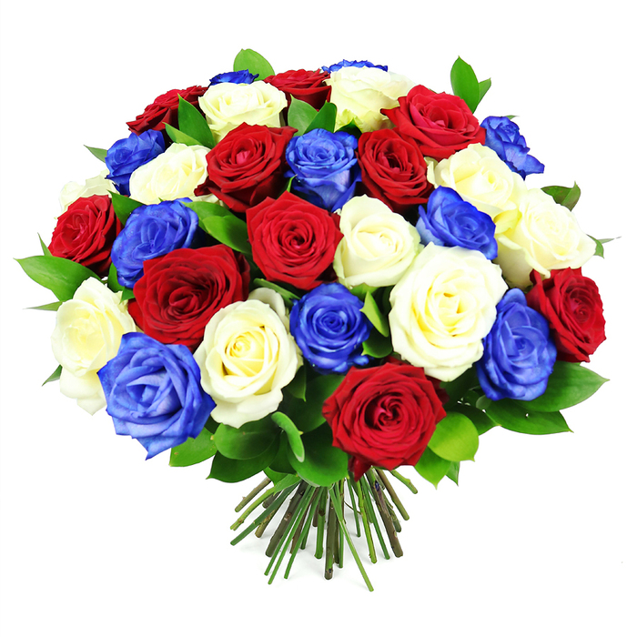 A dramatic, hand-crafted bouquet of red, white, and royal blue roses stands out vividly against a bright white backdrop, its perfectly rounded shape reminiscent of a beautifully polished floral sphere. The arrangement looks like it has been created by a skilled Canonbury florist who has thoughtfully nestled each rose head close to its neighbour, building a dense, almost opulent dome of colour. Deep crimson roses bring warmth and richness, creamy white roses add a sense of purity and calm, and saturated royal blue roses offer a modern, striking twist that immediately calls to mind patriotic celebrations. The petals appear velvety and soft, some roses fully open in layered spirals, others just beginning to unfold, which gives the bouquet dimension and the promise of a few days' graceful opening in a home or at a local event space. Glossy, dark green leaves are interspersed sparingly among the blooms, their smooth surfaces reflecting the light and adding both depth and a natural, garden-fresh feel. At the base of the arrangement, the stems are clearly visible: a tidy bundle of straight, green stalks with trimmed brown ends, bound together in that familiar hand-tied style used for bouquets heading to vases in Canonbury townhouses or cafes off Essex Road. The lighting is clean and even, highlighting every curve of petal and every shift in tone, from soft cream to deep red to sapphire blue. Visually, this bouquet feels ideal for Independence Day-style events, remembrance gatherings, or simply for bringing a proud, uplifting splash of colour to a dining table or office reception, especially when delivered same-day around Canonbury, Islington, and nearby streets.