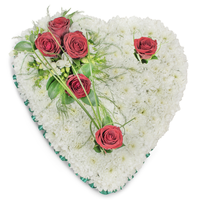 A meticulously composed heart wreath, entirely covered in compact, snowy-white chrysanthemums, presents a full, cushion-like texture that invites close inspection. The tiny chrysanthemum heads are aligned to form a continuous, pillowy surface, while a slender band of emerald-green satin ribbon crisply outlines the heart's edge and grounds the design. On the upper left, a focal cluster of three saturated red roses opens fully, their petals layered like velvet and set among rich glossy leaves - likely ruscus - and feathery fern foliage. Bright green bear grass blades arch gracefully from this cluster, introducing a linear contrast that moves the eye across the form. Two solitary red roses are deliberately placed - one near the upper right curve, the other toward the bottom point - each supported by a few small leaves and minute white filler blooms that lift the composition's tonal balance. The photographer has used overhead, soft lighting, allowing subtle shadows to define the contour of the heart and the depth between chrysanthemum heads and rose cups. Texturally, the piece contrasts the dense, matte whiteness of the chrysanthemums with the glossy, saturated crimson of the roses and the fresh sheen of foliage; the roses carry a mellow, classic fragrance that sits over a green, earthy under-note. As a Canonbury florist familiar with local traditions around Canonbury Square, New River Walk and nearby churches, I would recommend this arrangement for a dignified funeral tribute or memorial service where a clear, comforting visual statement of love and remembrance is desired.