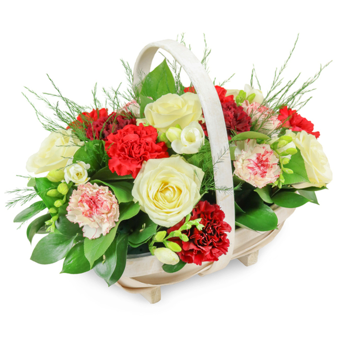 An elegant funeral flower arrangement overflows from a light wooden basket, its composition designed to bring comfort and gentle beauty to a time of loss for families in Canonbury and the surrounding Islington area. The basket has a soft oval outline, crafted from pale wood slats that lend a natural, unvarnished simplicity. It stands on four subtle feet that lift it delicately from the surface, and a pale, arched handle curves overhead, framing the flowers like a calm, sheltering gesture. The bouquet inside forms a generous, rounded mound, packed closely so that petals and leaves brush against one another in a tapestry of red, white, and green. Creamy white roses dominate the eye; they are fully open, with layered, velvety petals that suggest grace, remembrance, and the desire to say farewell with dignity. Threaded between them are deep, velvety red carnations, their frilled petals spilling outwards in little waves of colour that evoke devotion and cherished memories. Softly variegated carnations appear too, showing pale pink or near-white petals edged with deeper pink and red, bringing a more tender, reflective mood to the design. Delicate white blooms, likely freesias, peep through the larger flowers, their slender stems and bell-shaped heads hinting at a light fragrance and adding movement to the stillness. A lush foundation of dark green foliage supports everything: broad, glossy leaves offer structure and shadow, while fine, airy fern-like sprigs reach out at the edges, preventing the arrangement from feeling rigid. The neutral white backdrop and even lighting highlight each vein in the leaves, every ripple of the petals, allowing the craftsmanship to be clearly seen. This is the sort of thoughtful funeral basket you might see delivered to a Canonbury church or quietly placed at a crematorium chapel, expressing sympathy and love without overwhelming the space.