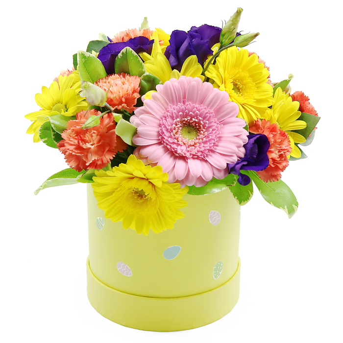 A festive Easter floral hatbox arrangement is displayed against a pure white background, its colours and textures conjuring the feeling of a bright spring afternoon in Canonbury. The container is a cylindrical, hatbox-style box in a soft pastel lime-yellow, with a smooth matte finish that gently reflects the light. Around its sides, playful Easter egg motifs appear in scattered clusters: small ovals in soft pastel blue, gentle pink, and warm white, some decorated with fine dots and delicate stripes, adding a charming, family-friendly touch that never distracts from the flowers above. The bouquet forms a rounded, domed canopy that seems to overflow just slightly, creating an impression of abundant generosity. At the centre front sits a large, pale pink Gerbera daisy, its petals delicately layered and slightly curved, radiating from a pale green central disc that anchors the eye. Surrounding this star bloom are generous sprays of yellow chrysanthemums, their multiple narrow petals forming cheerful, sun-like faces that brighten the entire design the way early sunshine brightens Canonbury's garden squares. Ruffled, coral-orange carnations nestle between the yellow blooms, their many folds and frills introducing visual depth and a welcoming, almost nostalgic warmth. Interspersed throughout, deep violet-purple lisianthus flowers provide bold, velvety notes of colour, pulling you deeper into the arrangement and giving it a slightly more sophisticated edge. The design is completed with lush green foliage, from broader leaves to slender stems, with occasional variegated edges offering subtle light-and-dark contrast. The greens cradle and separate the blossoms, creating an organised yet natural feel, like a carefully tended local garden. This Easter hatbox would work beautifully as a centrepiece for a family gathering, or as a thoughtful gift delivered to a friend near New River Walk, carrying with it the optimism and renewal of spring.