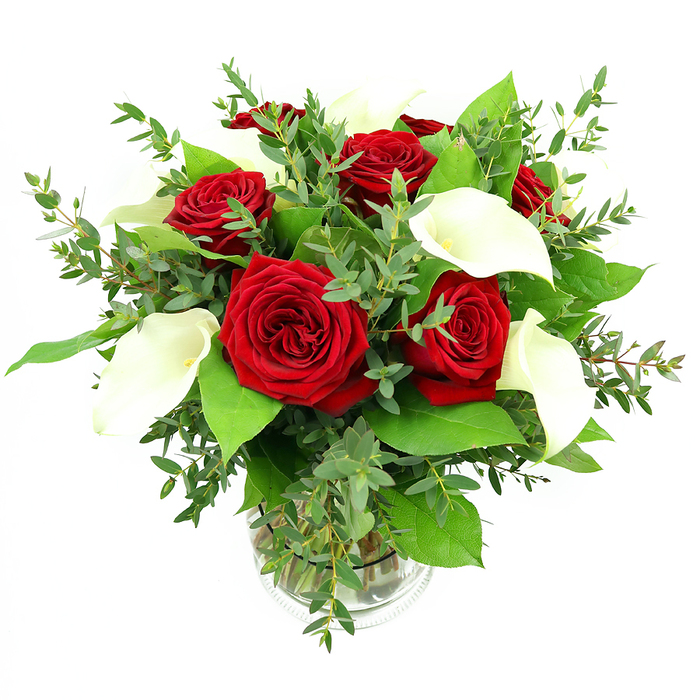 A refined, full bouquet of crimson red roses and sculptural white calla lilies is carefully arranged in a clear glass vase, captured against a spotless white backdrop that allows every colour and texture to stand out in sharp relief. At least half a dozen roses, fully opened and perfectly formed, sit at the heart of the composition, their petals densely layered in velvety spirals and glowing with a deep, romantic red that calls to mind candlelit evenings in Canonbury homes lining the quiet streets off St Paul's Road. Between these roses, white calla lilies stretch upward with effortless elegance, each bloom a slender, trumpet-shaped curve of creamy white, wrapped protectively around a golden-yellow spadix. The contrast between the plush roses and the sleek lilies is striking yet harmonious, suggesting a balance of passion and calm. Surrounding the primary flowers is a generous array of greenery: long, arching stems of eucalyptus bring in a soft, silvery-blue-green tone, their small, rounded leaves adding movement as they gently spill outward, while broader, darker green leaves create a dense, glossy base that anchors the arrangement visually. The stems are gathered neatly in a straight-sided, transparent vase, allowing a clear view of the submerged green stems and pristine water, reinforcing the impression of freshness and skilled craftsmanship from a Canonbury-based florist. Bright, even lighting washes over the arrangement, leaving almost no harsh shadows and highlighting the delicate veins on the leaves, the subtle sheen of the lilies, and the velour texture of the rose petals. This bouquet feels both classic and contemporary, perfectly suited as a romantic anniversary gift, a Valentine's surprise delivered to a flat near Canonbury Station, or a sophisticated centrepiece for an intimate celebration at home.