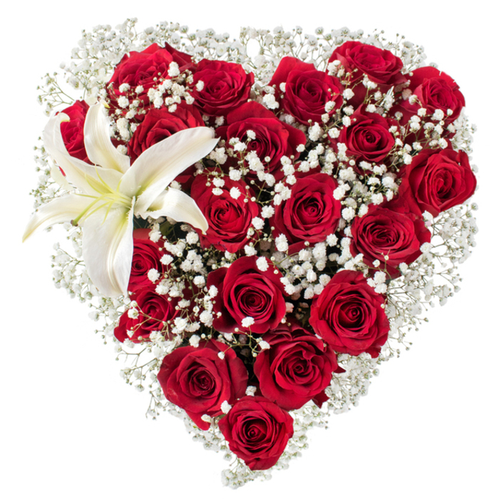 This meticulously composed heart of flowers sits against a stark white field, its form defined by the dense repetition of deep crimson roses and delicate accents of white gypsophila. Each rose is placed with intention, showing a spectrum of bloom stages that produce visual rhythm - compact buds providing punctuation, partially opened blossoms offering mid-tones, and fully unfurled roses supplying dramatic highlights and velvety shadow. The tiny, star-like blooms of baby's breath thread through the composition, creating soft negative space and a cloud-like border that both separates and unifies the rich reds. In the upper-left curve, a single white lily punctuates the design with architectural calm: smooth, wide petals radiate from a centre marked with a soft cream-yellow wash and visible yellow stamens, giving the eye a resting point against the energetic reds. The arrangement's textures are in lively conversation - the plush, tactile depth of the roses, the airy sparseness of Gypsophila, and the lily's waxy plane - while a subtle imagined scent combines rose warmth and a clean, green lily note. This heart-shaped bouquet communicates expert craftsmanship and emotional clarity; it's well suited for romantic occasions, anniversary gifts, or formal tributes. As a local florist familiar with Canonbury and nearby Highbury Fields, I picture this composition brought to a sitting room on Essex Road or delivered to a bedside with care, its visual language translating sympathy, passion, or devoted remembrance.