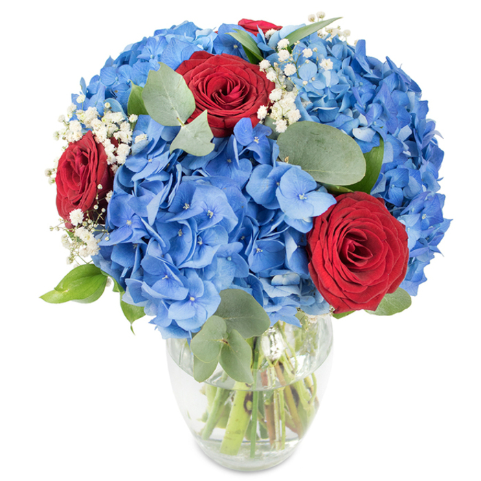 An elegant, garden-inspired bouquet poised in a simple clear glass vase-its water and green stems visible-presents a study in contrasting hues and textures. The mass of sky-blue hydrangeas creates an abundant, rounded crown whose many small petals overlap like a soft, cerulean cloud; they give the arrangement a sense of volume and comfortable lushness. Set within that blue are three striking red roses, their velvety petals tightly wound into luxurious spirals that convey warmth and deep feeling, a classic counterpoint to the modern coolness of the hydrangeas. Sprigs of white baby's breath scatter like tiny stars across the bouquet, adding a gentle, ethereal air that lightens the composition. Interspersed eucalyptus and fresh green foliage introduce muted silvery-greens and organic shape, offering depth, a subtle herbal scent, and a relaxed, natural silhouette. The flowers are captured against a crisp white backdrop in bright, flattering light so that the saturated colours and textures read vividly-ideal for a centrepiece or a heartfelt gift. As a local touch from Canonbury Flowers, this arrangement is conceived for neighbours who appreciate both bold colour and refined simplicity-perfect for marking anniversaries, housewarmings, or civic celebrations near Canonbury Square, the New River Walk and the cafés of Essex Road. It's a bouquet that feels celebratory without excess, crafted to convey love, appreciation, or patriotic pride with a calm, assured beauty.
