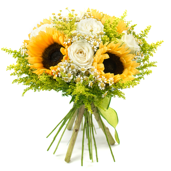 This image shows a vibrant, hand-tied bouquet posed against a crisp white background, the neutral setting allowing every nuance of colour and texture to stand out. At the core of the design are several prominent sunflowers, their large, rounded faces filled with tightly packed dark brown seeds framed by bold rings of golden-yellow petals. They form a sunny, confident centrepiece, evoking the warmth of a bright day over Canonbury's tree-lined streets. Interwoven between the sunflowers are refined white roses, some with tightly layered centres, others gently opening to reveal hints of ivory in their inner petals. These roses bring a sophisticated counterpoint to the informal charm of the sunflowers, adding depth and romance. Scattered delicately throughout the bouquet are clusters of tiny white, daisy-like blossoms-likely chamomile or feverfew-each with a miniature yellow heart that subtly echoes the sunflower tones. These smaller flowers introduce a sense of lightness and delicate rhythm, like a soft breeze brushing through the planting beds of nearby Canonbury Square. Generous sprays of bright lime-green foliage and fine budded stems, akin to solidago, fill out the arrangement, creating a halo of airy greenery that gives the bouquet a rounded, abundant silhouette. The long, straight stems are carefully aligned and secured at the base with a lime-green ribbon, wrapped and tied in a simple, tidy knot that allows the ends to hang slightly. The overall mood is cheerful yet elegant, a thoughtful blend of countryside ease and city polish, perfectly suited to celebrate a birthday, congratulate a new job near Angel, or bring a burst of sunlight to a home or office in Canonbury.