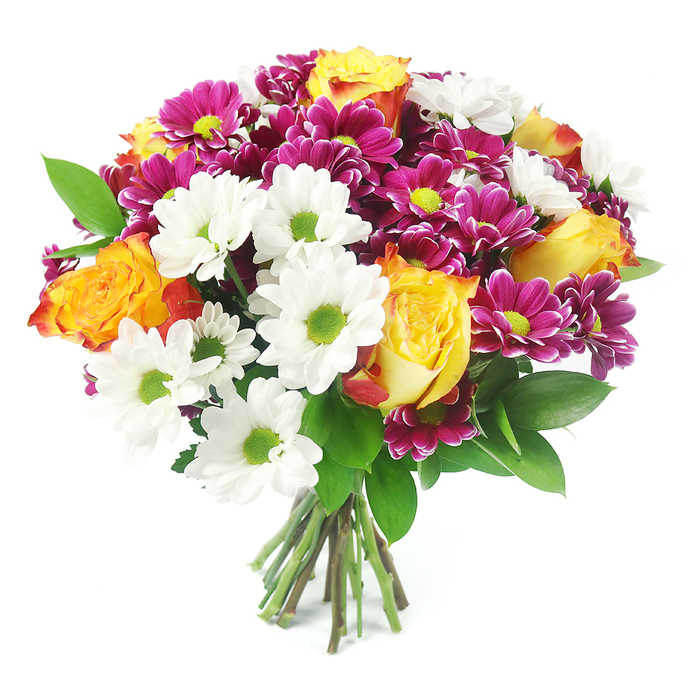 A richly coloured hand-tied bouquet is photographed against a completely white background, filling the frame with layers of petals and foliage. The flowers are arranged into a rounded, almost spherical shape, demonstrating a careful florist's eye for balance and texture. At several points in the bouquet, large roses open wide, each one displaying a gradient of warm hues-from bright, sunny yellow at the core, through glowing orange, to a soft, reddish-orange halo at the tips. Threaded liberally through the design, white daisy chrysanthemums bring clarity and light, their petals slim and slightly curved, surrounding intensely lime-green centres that add a crisp, contemporary touch. Nestled among them, small chrysanthemum blooms in saturated magenta and fuchsia tones offer deeper notes of colour, with dense, cushioned petals and yellow-green centres that reflect the daisy eyes. Between the blooms, dark green foliage emerges in small sprays, its leaves smooth and slightly pointed, providing a natural frame and cooling contrast to the warmer tones. The stems are visible at the base, cleanly cut and bound, creating a fan of green and earthy brown that underscores the freshness of the bouquet. The lighting is soft yet direct, revealing the velvety texture of the rose petals and the structured shapes of the chrysanthemums without casting harsh shadows. This composition feels both joyful and composed, ideal for gracing a windowsill in a Canonbury flat overlooking the quiet gardens, resting on a dining table just off St Paul's Road, or arriving as a surprise delivery to mark a birthday, congratulations, or a simple thank-you. It suggests a bouquet chosen by someone who wants to send colour, warmth, and a sense of celebration all at once.
