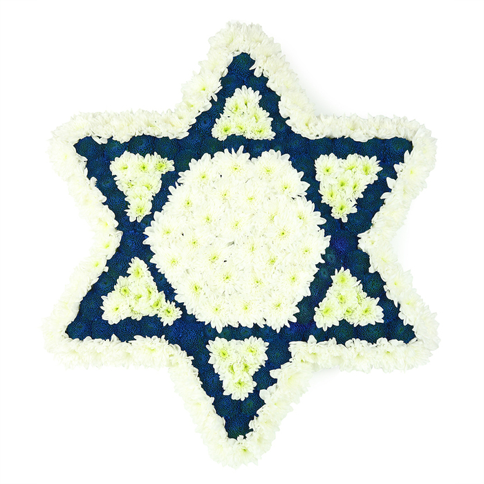A striking Star of David floral tribute dominates a plain white background, its six clean points and central hexagon formed solely from carefully arranged fresh flowers. The design feels both mathematical and deeply human, with each bloom placed to maintain the precise geometry of the Magen David while still conveying softness and compassion. Along the outer edge, a plush band of white chrysanthemums creates a thick, cushiony border that rounds off the star's tips and lends a gentle halo effect. Moving inward, a large central hexagon is filled completely with the same pure white flowers, forming a bright, calm centre that draws the eye. Around this heart, the six triangular arms of the star are heavily packed with dark blue or indigo blossoms, so dense that the petals form a smooth, almost fabric-like surface. Just where each blue arm meets the central hexagon, a smaller triangular patch of white flowers is set into the design, pointing inward, so that white and blue interweave in a repeating pattern. This careful contrast recalls the colours often associated with Jewish faith and ceremony. The arrangement is clearly meant as a respectful Jewish funeral or memorial tribute, a piece that might rest by a casket, stand near the bimah, or be placed by the family during shiva. The freshness of the flowers and the exactness of the star suggest the work of experienced florists who regularly serve Canonbury's Jewish community, perhaps delivering to quiet residential streets near Canonbury Square or towards Newington Green, where families gather to share stories, prayers, and the comforting presence of a thoughtfully made floral star.