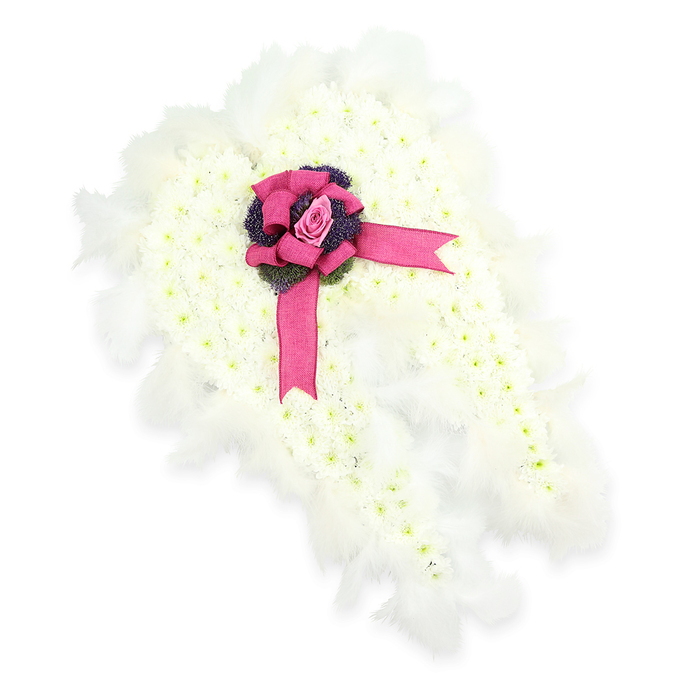 This image shows an exquisitely detailed funeral tribute arranged as a pair of angel wings, lying flat against a crisp white background that highlights every petal and feather. Each wing is sculpted from a tightly packed blanket of small white chrysanthemums, their rounded heads aligned to form a smooth, luminous surface with tiny green eyes at the centre of each bloom. The flowers gradually narrow toward the tips, giving the wings a natural, gently swept shape that suggests motion and ascent. Encircling the entire edge is a fluffy fringe of white feathers, some curling softly outward, others lying close against the blooms, which together create the illusion of real angel feathers and lend a comforting lightness to the design. Where the wings meet at the centre, a striking fuchsia-pink satin bow commands attention, its glossy loops layered and full, with ribbon tails draped diagonally across the floral wings. Nestled within the centre of this bow is a single pale pink rosebud, perfectly formed, its petals tightly wrapped as though protecting a tender secret. Just beneath, a small cluster of deep violet thistle-like flowers or textured foliage peeks through, adding an unexpected depth of colour and a slightly wild, natural texture. The overall look is tranquil, reverent, and filled with symbolism-purity, peace, and the idea of a loved one being carried gently onwards. Crafted with the quiet care often seen in Canonbury Flowers' designs for local services around Essex Road, Canonbury Station, and the churches tucked between tree-lined streets, this angel wing tribute offers a graceful and deeply personal expression of sympathy.