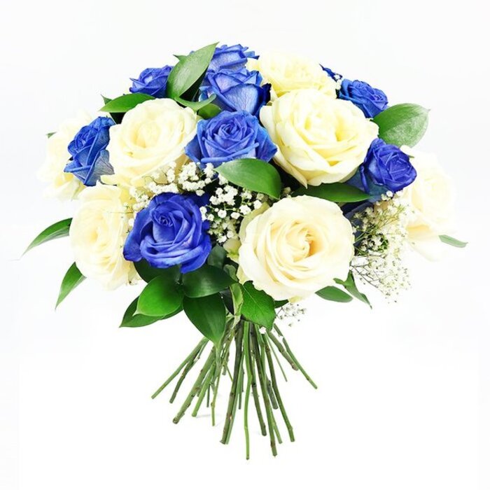 Displayed against a spotless white background, this hand-tied bouquet forms a generous, dome-shaped cluster of blue and cream roses, crafted with the thoughtful precision of a local Canonbury florist. At first glance, the striking royal blue roses demand attention, their petals layered densely, each bloom a rich sapphire that deepens towards the centre. These cool-toned roses are evenly interspersed among an equal number of cream and ivory roses, some gently tinged with warm undertones, others leaning towards a soft, almost porcelain white. The contrast between the bold blue and the soothing cream creates a rhythm that feels both modern and timeless, much like the quiet Georgian terraces lining Canonbury Square. Threaded delicately among the rose heads are wisps of white baby's breath, their tiny blossoms clustered along wiry stems, giving the bouquet a light, cloud-like veil that softens the strong colour pairing. Around the perimeter, dark green leaves-likely Ruscus or similar foliage-peek through just enough to offer a fresh, living frame, without overwhelming the roses. The stems are neatly aligned and tied at the base, extending below the rounded top like a tidy bundle just lifted from a florist's bench near Upper Street. The lighting is bright and neutral, revealing every curl of petal and crisp edge of leaf, and emphasising the freshness of the cut flowers. The mood of the arrangement is dignified and serene, ideal for sympathy occasions, a condolence visit in Canonbury, or as a respectful floral tribute that brings a sense of calm and quiet beauty to a memorial space or family home.