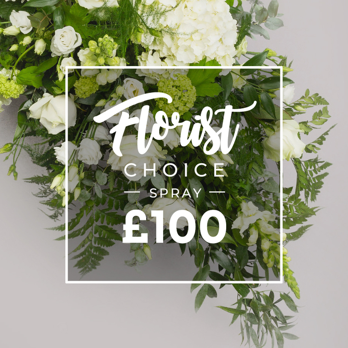 A stunning and abundant floral arrangement, predominantly white blooms with lush green foliage, is artfully displayed against a soft, light grey background. At the top, large, cloud-like hydrangeas give the bouquet its generous volume, while white roses show themselves in several stages of bloom-from tight buds to fully opened blossoms-creating a timeless essence. Smaller white blooms, perhaps lisianthus or similar varieties, weave through the composition, some with delicate hints of green. The whole assembly radiates calm sophistication, a look that feels both contemporary and classic, as though crafted for a refined living space or a poignant memorial.

Central to the image is a crisp white frame overlay, framing the text that identifies the piece. The word 'Florist Choice' graces the top in a flowing script, followed by 'SPRAY' in strong uppercase sans-serif. A thin divider marks the separation before the price line, which states £100 in bold numerals. The overlay is designed with a touch of translucency, letting the green foliage beneath softly show through, underscoring the designer's emphasis on lightness and balance.

This premium spray is ideal for sympathy, commemorations, or elegant gifting, conveying quiet dignity and refined taste. The composition is anchored by rich greens-feathery ferns at the bottom and right, soft grey-green eucalyptus, and darker, glossy leaves-that provide depth and texture. For Canonbury customers, the piece speaks of local craft, suitable for delivery across Canonbury, Islington, and surrounding postcodes, or for collection from the shop. In every stitch of its design, you sense the florist's expertise-Canonbury Flowers-creating a memory you can trust to arrive fresh, with a scent of spring mornings and a sense of peaceful remembrance.