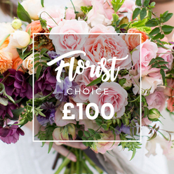 A richly textured, florist-curated bouquet captured in a soft, slightly elevated close-up, held tenderly at the base by a pair of hands. At its centre, generous pink garden roses unfurl with velvety, ruffled layers that suggest a warm, rose-scented breath; these are balanced by deep plum, hellebore-like flowers that add shadowed depth and a touch of drama. Pale purple-and-white sweet peas weave through the arrangement with delicate, almost striped petals, while peach and coral ranunculus-style blooms and creamy white accents bring warmth and light. Varied greenery - from slender, trailing vines to broader glossy and matte leaves - is interlaced throughout, giving the bouquet a freshly gathered, organic movement evocative of a local market bunch. The natural, soft lighting highlights petal texture and the layered construction of the hand-tied design.A white rectangular overlay sits over the flowers, thinly framed, with Florist Choice written in an elegant script at the top, CHOICE in smaller block capitals underneath, and a prominent ?100 in large, bold sans-serif at the base - a clear price and product signifier. This arrangement feels like a Canonbury moment: the kind of bespoke selection we make at Canonbury Flowers for celebrations on Canonbury Square, intimate anniversaries or to say thank you to someone who matters. It reads as thoughtful, seasonally sensitive and ready for local delivery across Canonbury and neighbouring Islington streets.