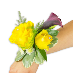 As a crafted wearable, this wrist corsage balances bright cheer with evening elegance on a pale forearm set against a stark white field. Two golden-yellow roses anchor the design - the larger bloom poised to the left, a slightly smaller companion to its right - each delicately kissed at the centre with a clear crystal stud that twinkles with every motion. Behind them, a single calla lily in an inky plum or deep burgundy unfurls upward and to the right, its sleek curve contrasting the layered softness of rose petals. Textural variety is deliberate: airy asparagus-fern fronds weave through and above the blossoms, imparting lightness; substantial variegated leaves with pale margins provide a cool, grounding plane; and tiny white button-like fillers nestle close to the stems to round the silhouette. The composition sits diagonally across the wrist, demonstrating how the arrangement reads when worn and how the band is discreetly hidden beneath foliage. The photograph's clean lighting highlights petal edges, the satin sheen of the calla and the jewel-like sparkle of the rhinestones, while suggesting a faint floral perfume. This is the sort of corsage we often prepare for summer Proms, chapel weddings near Essex Road or intimate Canonbury gatherings - a compact statement piece that combines joyful colour, sculptural contrast and the reassuring craftsmanship of a local florist familiar with neighbourhood celebrations.