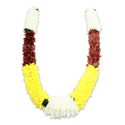 There is a quiet dignity in this U-shaped ceremonial garland, photographed on a stark white field so every detail of its hand-assembled structure can be seen. Each arm begins with a dense, cylindrical collar of creamy white, tiny petals that give a soft, tactile impression-like the memory of garden chrysanthemums pressed into fabric. The white sections flow into rich, rust-maroon bands whose tightly arranged petals create a warm, grounding counterpoint, then open out into long expanses of cheerful, saturated yellow that form the graceful lower curve. At the lowest point the garland knots into a larger cluster of pristine white blooms, a calm focal heart that visually unites the two arms. Small, dark-green leaf touches appear at the junctions between colour blocks, functioning as subtle separators and lending a hint of natural contrast against the synthetic petals. The texture throughout is plush and consistent, the thousands of fabric petals layered with a florist's patience to suggest the living floral forms used in traditional malas. In Canonbury this style of garland is often chosen for home altars, temple offerings and weddings-for processions into St Paul's Road temples or for decorating doorways near Essex Road-and it carries the symbolic language of its colours: devotion, purity, and prosperity. As a local florist I picture this garland hanging calmly in an Islington home or presented during Diwali; Canonbury Flowers occasionally supplies similar ceremonial pieces for community celebrations and ritual use nearby.