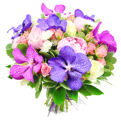 This image shows an opulent, hand-tied bouquet arranged on a pristine white backdrop, the kind of piece you might imagine arriving at a Canonbury doorstep after a stroll through nearby Highbury Fields. At first glance, your attention is claimed by lavish pink peonies, fully open and deeply layered, their petals forming generous, ruffled cups that feel both nostalgic and indulgent. Threaded gracefully among them are striking Vanda orchids in rich violet and vivid magenta, their flat, open faces patterned with intricate, lace-like veining that adds a contemporary, almost couture edge. Around these stars, smaller spray roses in gentle blush pink, peach-tinted tones, and touches of creamy white gather in little clusters, some still in bud, others beginning to unfurl with quiet elegance. Fine white filler flowers, like miniature chrysanthemums, are tucked into the spaces between, giving the bouquet a sense of airiness and intricate detail. All of this colour is anchored by lush green foliage, with smooth, glossy leaves and lighter, variegated greens providing a cool, verdant frame that enhances the brightness of the blooms. The stems are drawn together at the base and secured with a carefully tied purple ribbon, accented by a whisper of sheer mesh that hints at professional craftsmanship and care. Under the clear, even lighting, the purples, pinks, and whites appear vivid yet harmonious, creating an impression of joyful sophistication. It feels like a bouquet perfect for an anniversary dinner on a quiet Canonbury street, a gallery opening off Essex Road, or any occasion where you want flowers to speak of romance, artistry, and attention to detail.