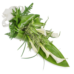There is a serene dignity to this elongated floral tribute that would suit moments of remembrance or quiet celebration in Canonbury and nearby Angel. Long, sculptural white Calla Lilies dominate the composition, their pearly trumpets and smooth, waxy surfaces arranged to lead the eye from the upper-left toward the lower-right. They are cradled by broad, deep-green tropical leaves folded to give structure and volume, while vivid variegated foliage with pale green-and-white striping breathes lightness into the middle of the design. Finer textures - soft emerald fern fronds and tiny, almost frothy pale-green sprigs - peek through and soften the overall silhouette, creating layers of depth that feel tactile and natural. A simple off-white linen ribbon is tied at the top-left, its woven fibres catching the light and adding a handmade, local quality. Thin grass-like blades sweep outward, lending the piece an organic flow that suggests the calm movement of a river walk after rain. As an Islington florist I imagine this composition placed by candlelight at a Canonbury Square service or delivered to a family home near Essex Road; the scent is quiet, green and subtly earthy rather than showy. Crafted with care and restraint, the arrangement reflects the neighbourhood's taste for considered design: modern, respectful and quietly beautiful. Canonbury Flowers would present this as a refined option for memorials, intimate weddings, or as a soothing, sophisticated home accent brought fresh from the workshop.