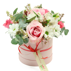 An elegant pastel hatbox arrangement is centred against a bright white backdrop, its colours and textures standing out with the clarity of a sunlit window on a Canonbury townhouse. The box itself is a soft, powdery pink, perfectly cylindrical with a velvety matte surface that feels contemporary and refined. Encircling the base is a sleek coral-red satin ribbon, tied into a compact, well-formed bow at the front. A small rectangular cream tag dangles from the knot, detailed with simple green handwriting-style text that suggests a curated, artisan bouquet rather than something mass-produced. From the top of the box, the flowers rise in a carefully shaped dome, full and lush but never messy. A prominent pale pink rose, edged and swirled with deeper pink tones at its centre, sits slightly forward, its open petals giving the composition a romantic anchor. Around it stretch white chrysanthemum blooms with crisp green centres, their petal layers catching the light and adding cool structure. Interlaced throughout are white alstroemeria, their trumpet-shaped flowers carrying subtle speckles, as well as smaller deep pink blossoms that might be spray roses or lisianthus, offering bold accents like pops of colour along Canonbury's hidden mews. Eucalyptus, with its rounded silver-green leaves, mingles with darker foliage and a few stems tipped with tiny green buds, creating a sense of depth and natural movement, almost as if a breeze from Highbury Fields had passed through. The overall look is quietly luxurious, a perfect gift for birthdays, engagements, or simple just because moments, easily imagined being delivered to homes and offices across Canonbury, Angel, and the surrounding Islington streets.