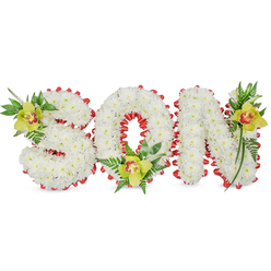 This dignified sympathy tribute spells SON in three-dimensional lettering formed from dense clusters of pristine white chrysanthemums; each tiny bloom is placed to achieve a smooth, pillowed surface that suggests purity and tenderness. The letters are traced with a scalloped border of vivid red ribbon, the ribbon's glossy loops providing a strong, comforting contrast that frames the name like a ribboned keepsake. Nestled into the S's upper curve, cradled at the base of the O, and resting on the upper arm of the N are three lime-green cymbidium orchids. Their waxy petals and delicate reddish-brown throats offer a quiet, elegant warmth against the white field, while the orchids' weight and sculptural form anchor each letter visually. Rich green foliage - slender, pointed leaves and delicate fern fronds - spills and lifts from each accent, adding texture, depth, and the gentle whisper of nature to the assemblage. The entire composition is lit so the chrysanthemums' soft shadows create subtle dimensionality, and the faint, sweet scent of the flowers gives the arrangement an intimate presence. Prepared with the care of a local Canonbury florist, and available for thoughtful delivery across Canonbury, Essex Road and nearby Islington neighbourhoods, this piece is intended for memorial services, graveside farewells, or chapel tributes where a personal, heartfelt message of love for a son is desired. Canonbury Flowers crafts such pieces with attention to proportion and emotional tone, balancing colour, texture and reverence.