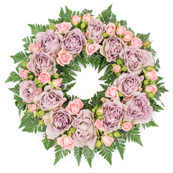 A gently composed sympathy wreath, viewed from above against a spotless white background, forms a perfect circle of remembrance and grace. The eye travels around a continuous ring of lush roses, the largest blooms opening fully in subtle tones of dusty lavender, greyish purple, and soft mauve. Each petal folds over the next like fine silk, creating intricate spirals that seem to draw you inward, much like quiet memories shared in a Canonbury townhouse or along the leafy paths near New River Walk. Between these grand roses nestle clusters of petite blush pink spray roses, some no bigger than a fingertip, mingled with half-open buds that suggest the ongoing nature of love and memory. The interplay of bloom sizes adds texture and depth, making the wreath feel both abundant and delicately detailed. All of this rests upon a thick, verdant bed of dark green fern fronds, their finely cut leaves radiating out like soft feathers, cradling each flower securely in place. Subtle hints of deeper foliage and tiny dark buds peek through, adding shadow and visual rhythm without disturbing the serene colour harmony. The lighting is even and calm, highlighting the cool purples and tender pinks against the rich greens, giving the arrangement a tranquil, almost meditative quality. This is the kind of floral tribute you might see at a thoughtful celebration of life in Canonbury, perhaps delivered quietly to a family home near Essex Road, where its presence offers comfort, respect, and a tangible expression of sympathy.