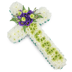 A beautifully composed floral cross for a funeral or memorial rests against a bright white background, its details clear and contemplative, as if ready to be carried into a quiet service in Canonbury's tree-lined streets. The structure of the cross is entirely formed from densely packed white spray chrysanthemums, creating a plush, cushion-like surface. Each small bloom contributes to a continuous blanket of soft white, evoking comfort, innocence, and the gentle stillness of a chapel interior. Along the entire perimeter, a neat border of vivid green ribbon or closely placed foliage traces the outline, highlighting the cross shape and lending a crisp, tailored finish. Through the centre of the long vertical arm, a contrasting channel of lime green button chrysanthemums draws the eye downward, their rounded forms adding texture and a contemporary touch. Fine, almost threadlike strands of pale green decorative wire are draped in a loose criss-cross over this area, suggesting a delicate woven pattern that feels both modern and understated. At the point where the arms intersect, a focal cluster of deep, royal purple lisianthus blooms is arranged with care, their velvety petals spiralling open among bright lime green button mums. Behind and around them, dark green fern fronds and subtle foliage flare out, softening the symmetry and adding natural depth, like greenery from a shaded corner of a Canonbury garden. The calm palette of white, green, and purple creates a soothing, respectful tribute, ideal for expressing condolences and quiet faith at a Christian funeral or memorial service in the local area.