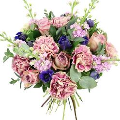 A richly detailed hand-tied bouquet sits against a pure white background, the simplicity of the setting allowing the colours to glow as if lit by soft Canonbury daylight. The eye is first drawn to the blossoming garden roses, whose petals gradate from tender blush pink to deeper dusty mauve, each bloom opening in a generous spiral that speaks of timeless romance. Ruffled carnations surround them in abundance, fringing the design with petals that fade from creamy pale pink at the centre to warmer rose and plum on the edges, creating a sense of gentle movement, like fabric caught in a breeze. Breaking through the pastel harmony, deep indigo-blue and royal blue flowers - including a bold open anemone with a dark, inky centre and several sleek, budded blooms - add drama and a cool, evening-sky richness. Light lilac and soft lavender stock stems weave upward through the bouquet, their clusters of tiny flowers bringing airiness and a suggestion of soft, comforting fragrance. All around, rounded eucalyptus leaves in silvery green mingle with darker, glossy foliage, framing the bouquet and adding natural structure, like greenery gathered from a walk between Canonbury Square and New River Walk. At the base, the stems are neatly tied and visible, showcasing the craftsmanship behind a freshly prepared bouquet, ready to be carried home to a townhouse off Upper Street or delivered as a tender birthday or get-well gesture. The overall mood is quietly uplifting, a refined blend of pinks, purples, blues, and greens that soothes while still making a confident statement.