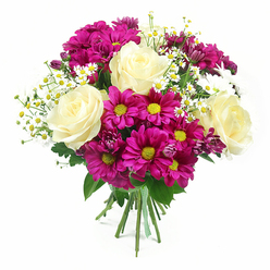 A rounded, hand-tied bouquet is captured against a crisp white background, its colours and textures echoing the relaxed yet refined character of Canonbury's tree-lined streets. At its heart sit several fully open roses in shades of creamy white and gentle buttery ivory, their petals layered like fine fabric, spiralling inward to create a serene, romantic focus. Radiating around them, clusters of vibrant magenta chrysanthemums bring a joyful burst of colour, each bloom displaying a bright yellow-green centre that stands out like a small sun ringed by softly ruffled petals. Between these larger flowers, slender stems of tiny white daisies, reminiscent of chamomile or feverfew, weave through the design, their petite petals and sunny centres introducing a light, countryside charm that softens the bolder tones. Here and there, smaller chrysanthemum buds in a richer purple-pink hue peek from the foliage, adding depth and suggesting fresh blossoms still to open. The entire bouquet is framed with lush green leaves, providing contrast and structure while hinting at the freshness you might expect from blooms just brought in from a local Canonbury market. At the base, the neatly gathered stems are bound with a cheerful green and white checkered ribbon, tied firmly but with a handmade ease, ready to be carried along Essex Road for a birthday visit or a simple gesture of thanks. Soft, even lighting creates gentle shadows and highlights, drawing attention to the interplay of creamy roses, vivid mums, delicate daisies, and verdant foliage, and the overall mood is one of warm celebration and thoughtful, expert floristry.