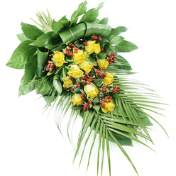 A graceful sympathy spray of yellow roses and red berries is shown carefully arranged on a stark white background, making every detail of the design easy to imagine. The composition runs diagonally from top left to bottom right, like a gentle tear-shaped arc, crafted to rest flat on a coffin, memorial stone, or church stand in Canonbury. The focal flowers are a generous cluster of yellow roses, around fifteen or so, gathered at different stages of opening: some buds held close and hopeful, others fully unfurled, revealing layers of soft, velvety petals in a rich golden hue. Between and around them nestle polished clusters of bright red Hypericum-style berries, their rounded forms and deep colour adding both texture and a subtle sense of warmth, much like the comforting glow of a sunset over nearby Islington streets. The blooms are embraced by an abundance of foliage. At the upper left, broad, dark green leaves are expertly folded and wrapped, forming a structured, cushioned base that looks both lush and composed, as if shaped by a florist who knows the quiet needs of local Canonbury families in times of loss. Trailing down towards the lower right, long, slender palm fronds extend outward, their fine leaflets creating an elegant, sweeping line that gives the spray movement and poise. The greens vary from deep, shadowy tones to fresher, brighter shades, echoing the layered greenery of Canonbury's garden squares. This design feels calm, dignified, and gently uplifting, a fitting floral expression of sympathy and remembrance for funerals or memorial services across N1.