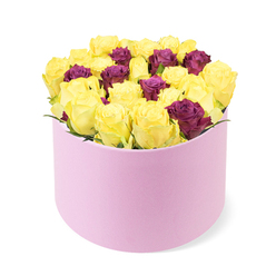 A study in sunlit contrast and velvet depth, this arrangement from Canonbury Flowers sits in a pale pink, round gift box with a soft, matte finish. The front curve of the box scoops away to reveal a dense, domed cluster of roughly 30-40 roses, tightly packed for maximum impact. The bouquet is dominated by bright yellow roses, their petals still tightly furled and catching the first light of a cheerful day, sending warmth, optimism, and a sense of celebration outward. Interspersed are deep purple or burgundy roses, whose rich, velvety tones provide a luxurious counterpoint and an air of refined drama. The overall form remains plush and substantial, with blooms pressed boldly toward the rim to suggest abundance. The soft pink box, with its suede-like texture, completes a sophisticated, gift-ready presentation that feels timeless yet contemporary. The white background keeps every hue crisp, letting the color story shine. Crafted for audiences in Canonbury and surrounding Islington neighborhoods, this piece embodies thoughtful artistry, ideal for birthdays, anniversaries, or heartfelt thanks, and it's available for same-day delivery to brighten any occasion with a touch of elegant charm. The arrangement speaks of connection, care, and the joy of sharing beauty with loved ones.