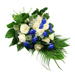 An elegant sympathy spray of blue and white roses stretches diagonally across a stark white background, its shape echoing a gentle teardrop or crescent as it narrows from a full, abundant head to a graceful point. The focal point is a generous cluster of fully open roses, their petals soft and velvety to the eye. About half of the blooms are a rich, saturated sapphire blue, the kind of intense colour that recalls twilight along the tree-lined streets of Canonbury, while the rest are creamy white and pale ivory, offering a sense of purity and peace. These roses are threaded together in a careful pattern so each hue enhances the other, creating a calm yet striking contrast.

Between the larger flowers, airy tufts of white baby's breath add an almost cloud-like lightness, filling the small gaps and softening transitions between blooms. The roses are cradled within a lush green framework: glossy, dark leaves provide structure at the base, while bright green fern fronds rise and flare toward the upper left, giving the design height and a feathery texture. Long, slender palm fronds sweep out and down from the lower right, extending the spray in an elegant cascade that feels as though it has just been carefully arranged for a farewell service.

Subtle touches of bluish-green foliage, reminiscent of eucalyptus, tuck in between the roses, introducing a cooler tone and fine, rounded leaf shapes. Decorative bands of striped green and cream foliage or ribbon are artfully wrapped through the greenery, suggesting the practiced hand of a local Canonbury florist used to creating tributes for quiet funerals and memorial gatherings across nearby Islington churches and chapels. The piece conveys composed remembrance, empathy, and lasting love.
