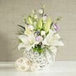 A graceful white and lavender-toned floral display, styled as a wedding table piece, stands in a distinctive white open-weave vase on a pristine white surface, like something you might see at a relaxed celebration near Canonbury's leafy streets. Central to the design are elegant white lilies, their large, trumpet-like blooms fully open on some stems while others remain in elongated green buds that curve gently upward. The open flowers reveal soft stamens tinged with pollen, adding a delicate touch of warmth to the otherwise cool palette. Woven among the lilies are lisianthus blossoms, some still wrapped tightly in bud, others revealing layers of silky petals. Many are pure white, while others show a fine outline or central flush of pale lavender-purple, creating a gentle transition between the whites and the darker accent blooms hidden deeper in the arrangement. Small clusters of fine white filler flowers, reminiscent of baby's breath, rest lightly between stems of deep purple florets, giving subtle texture and contrast. The greenery is abundant yet carefully controlled: feathery fronds, slender stems, and broader leaves spill over the edges and rise softly around the blooms, suggesting movement without disturbing the calm. All of this is gathered into a rounded white vase with a basket-like, open lattice design, making the flowers appear as if they are floating within a sculpted frame. Two light beige woven decorative balls sit to the side, echoing the vase's pattern. The soft, even lighting and neutral beige wall behind enhance the arrangement's restful, almost meditative presence, making it suitable for wedding tables, memorial gatherings, or elegant dinners at home in Canonbury.
