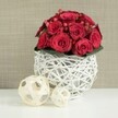 A beautifully composed centerpiece dominates the photograph, where a rounded bouquet of rich, ruby-red roses appears to float above a sculptural white wicker sphere. The roses are densely arranged, their petals soft and velvety, some still tightly spiralled while others open wide to reveal deep, shadowed centres. Threaded between the flowers are clusters of red Hypericum berries, each small and gleaming, adding a fresh, berry-like accent and a slightly different shade of red that enlivens the overall palette. At the base of the dome, a narrow collar of dark green leaves is just visible, framing the bouquet and giving it a gentle, garden-inspired edge, as if the blooms had been freshly cut from a hidden Canonbury garden early in the day. The arrangement is anchored in a distinctive round vase crafted from white-painted branches, woven loosely into an open, airy lattice. Through the gaps in the wicker, light filters and shadows fall onto the smooth, white tabletop below, creating a delicate play of pattern and brightness. To the left of the main piece, two decorative spheres made from pale, natural wood strips sit casually on the same table. The larger ball is placed nearer the viewer, while a smaller one nestles just behind, repeating the woven motif without competing with the boldness of the roses. The background is a gently blurred wall in soft beige or taupe, with the faint suggestion of texture that keeps the scene warm yet understated. The overall effect is one of poised, contemporary romance, perfectly suited to wedding table settings or special dinners hosted in Canonbury's townhouses and local eateries.