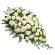 This dignified funeral spray lies diagonally across a pure white background, composed in a flowing crescent that begins in a lush, rounded mass of blooms and narrows to a tender point. The arrangement is dominated by numerous white and cream roses, so closely grouped that they form a continuous ribbon of petals. Each rose is at a slightly different stage of opening, from firm buds to fully unfurled blossoms whose spiralled centres and softly cupped outer petals invite a sense of quiet contemplation. Tucked between them are white carnations with finely frilled petals, introducing a cloud-like softness and subtle variation in texture. Underpinning the blooms is a base of rich greenery, including dark, glossy leaves that ground the spray, and cooler eucalyptus foliage that threads through in a muted, silvery green, bringing a touch of airiness. From the lower, tapered end, slender trails of ruscus and other narrow leaves arc gently downward, echoing the natural fall of foliage in Canonbury's gardens after rain. There are no visible stems or supports; the flowers appear to float, the clean white background ensuring that every nuance of petal, leaf edge, and shadow is clearly visible. The overall effect is one of serene purity and respectful beauty, making this design a fitting choice for a funeral or memorial gathering in and around Canonbury, where families seek a refined yet heartfelt expression of sympathy. The composition conveys a sense of stillness and closure, as though the flowers themselves are offering a final, peaceful farewell on behalf of those who loved and remember.