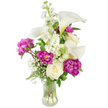 A lush, upright bouquet in a fluted clear glass vase, softly lit against a clean white backdrop so each petal reads like a quiet note. The design pairs pristine white calla lilies-sleek, trumpet-shaped and slightly waxy-with voluptuous magenta peonies whose ruffled, jewel-toned petals feel almost touchable. Nestled among them are classic, tightly furled white roses that offer creamy, traditional form, while tall spires of white snapdragons push upward, lending graceful verticality and a subtle cottage-garden character. Tiny clouds of baby's breath (Gypsophila) float between the larger blooms, scattering delicate white points that soften the composition, and pale ferny greens and broader leaves give the bouquet a cool, natural base. Through the transparent vase you can glimpse clean stems and clear water, a visual cue of freshness that complements the bouquet's gentle fragrance-a mingling of soft floral sweetness and the green, cut-stem crispness that suggests early summer mornings. The overall mood is elegant but unshowy, a design that reads as thoughtful and intimate rather than ostentatious: perfect for a bedside table, an understated dining centrepiece, or a quiet expression of sympathy or thanks. As a florist who often arranges flowers for homes around Canonbury Square and the nearby New River Walk, I imagine this composition resting on a small round table beneath soft lamp light, radiating calm and considered taste. The balance of smooth calla curves, peony volume, and stock's upright texture shows careful placement and restraint-a bouquet that celebrates form, scent and seasonal colour with refined confidence.