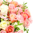 A luxurious bouquet of mixed roses and carnations is shown in close-up, every flower standing out crisply against a spotless white background. The roses, fully open and lush, range from creamy white and whisper-soft ivory to pale yellow, blush pink, peach, and gentle coral, their petals unfolding in graceful spirals that feel almost sculpted. Among them nestle petite, frilly carnations in a consistent soft pink, their ruffled heads filling any gaps and creating a cushion of texture that makes the bouquet look exceptionally full and generous. The mix of warm and cool pastel tones gives the arrangement a calm yet uplifting mood, like the quiet elegance of Canonbury's residential streets on a bright morning. Slender green leaves with sharp tips slip between the blooms, offering contrast and echoing the natural greenery seen in nearby gardens and small local parks. A few buds, still closed or only just beginning to open, add a sense of freshness and future beauty, suggesting that the bouquet will continue to evolve over the coming days. The lighting is even and bright, bringing out subtle gradients of colour in every petal and casting only the faintest, soft-edged shadows. Overall, the image conveys a sense of gentle romance and peaceful joy, the kind of bouquet you might send to celebrate a milestone, welcome someone home, or offer quiet support to a neighbour in Canonbury, suited to birthdays, new beginnings, or sensitive occasions where warmth and thoughtfulness matter.