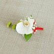 A meticulously crafted white orchid boutonniere is laid out on softly textured light beige linen, the fabric's natural weave catching the gentle light like the walls of a calm Canonbury townhouse. At the heart of the design, a single pristine phalaenopsis orchid opens its broad, velvety petals, pure white yet subtly shadowed at the edges to give depth and dimension. Its throat glows with soft yellow and hints of reddish-orange or light brown markings, a tiny burst of warmth that draws the eye inward. Around this elegant focal bloom, clusters of delicate white baby's breath float like tiny clouds, their minute blossoms creating a feathery halo that softens the composition. To the left, two vivid lime-green chrysanthemum pom-pom buds, tightly packed and slightly spiky in texture, lend a fresh, modern contrast to the orchid's smooth curves, adding an almost playful note while keeping the mood formal. Beneath the flowers, a rich, deep green leaf cradles the design, with a smaller, darker leaf peeking out near the base, giving the impression of a tiny garden clipped straight from a Canonbury Square doorstep. The stems are neatly bound with a vibrant crimson red satin ribbon, wrapped with precision and finished in a small, tidy knot, injecting a confident pop of colour against the neutral background. The lighting is soft and even, suggesting an indoor setting where a florist has just set down this groom's boutonniere before a wedding in a nearby Islington church or registry office, the overall feeling one of poised elegance and quiet anticipation.