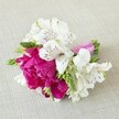 A compact, hand-tied floral arrangement rests horizontally on a softly textured, light beige fabric that looks like natural linen, the neutral background allowing every petal and leaf to stand out clearly. At the heart of the piece is a lush fuchsia peony or garden-rose style bloom, its many ruffled petals densely layered to create a rich, almost velvety dome of colour, somewhere between magenta and raspberry pink. Clustered closely around this central flower are several white alstroemeria, or Peruvian lilies, their slim, slightly flared petals brushed inside with fine streaks and freckles of deep maroon, like delicate ink lines drawn with a steady hand. Slender, bright green buds and spiky florets thread between the blooms, adding height and a gentle linear rhythm that contrasts with the softness of the main petals. The exposed stems are neatly aligned and wrapped in a glossy ribbon of vivid pink satin, matching the peony's tone and catching the light with a subtle sheen, as if ready to be pinned as a boutonniere or carried as a small posy. The lighting is soft and even, similar to a quiet Canonbury morning, with gentle shadows that emphasise the folds of the petals and the crisp edges of the greenery. The overall mood is joyful yet refined, perfect for a spring or summer wedding near Canonbury, an intimate celebration by Highbury Fields, or a romantic photoshoot on a quiet Islington side street. You can almost imagine a local florist carefully setting this piece down on the worktable, checking each bloom so it feels fresh, balanced, and ready to accompany one cherished moment.