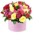 Soft morning light gilds the scene as a vibrant, multi-hued rose arrangement rests in a round light pink hat box. The bouquet rises in a generous, densely packed dome, a living rainbow of petals where colour remains the star. Deep crimson anchors the heart, flanked by sunny yellows, bright fuchsias, soft pastel pinks, elegant magenta, delicate lavender-purple, and creamy whites. The roses vary in size-great open blooms with petals unfurling like velvet ribbons, mixed with smaller spray roses and tiny buds-creating a tactile rhythm and depth. Between the blossoms, dark green leaves tuck and flare, their gloss giving the arrangement a fresh, garden-fresh look. The box itself has a smooth, matte finish in pale pink, a contemporary counterpoint to the bouquet's lush abundance. Against a clean white backdrop, the colours glow with clarity and craft, as if a careful hand just pressed them into place.This richly colored rose box is designed to mark moments of joy. It suits birthdays, anniversaries, Valentine's Day, or a heartfelt thank-you, and it feels at home in Canonbury's cozy rooms, whether on a dining table near Upper Street, on a mantel in a softly lit living room, or at a desk in a small Canonbury business. For those seeking reliability, it's available with same-day delivery across Canonbury and surrounding Islington areas, so the recipient can enjoy the fragrance and warmth of fresh roses sooner rather than later.