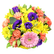 From a top-down view, this mixed flower bouquet appears as a vivid, circular tapestry of colour set against a crisp white background, every bloom touching the next in a close, abundant cluster. Near the lower centre, a generous pink gerbera daisy draws the eye, its flawless ring of soft, pale-pink petals encircling a gently textured greenish-yellow centre that seems almost touchable. Surrounding and weaving past it, bright yellow chrysanthemum daisies form a lively, sunlit chorus, each with slender petals and light-toned centres that sparkle like pockets of morning light over Canonbury's tree-lined streets. Nestled among these cheerful faces are rich indigo-purple lisianthus, some fully open in graceful trumpets exposing golden stamens, others still in smooth, tapered buds that add height and a sense of unfolding stories. Coral-orange carnations are scattered throughout, their deeply frilled petals creating layers of intricate ruffles, bringing a cosy warmth reminiscent of a friendly gathering in a Canonbury café. The blooms are framed by fresh green foliage, including several leaves edged with pale variegation, which introduce contrast and a sense of natural movement. Soft, even lighting enhances the vivid palette without glare, highlighting the interplay between smooth daisy petals, velvety lisianthus, and plush carnations. The bouquet feels festive and uplifting, an ideal choice for sending congratulations, thank-you wishes, or birthday cheer to homes around Canonbury and nearby Angel. The design reflects a local florist's eye for balance and harmony, offering a burst of happiness that would instantly brighten a kitchen table or office desk.