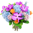 A sumptuous, dome-shaped hand-tied bouquet fills the frame against a clean white background, its colours echoing the lively yet refined character of Canonbury. Dominating the eye are dramatic Vanda orchids in saturated shades of magenta and deep fuchsia, their broad petals decorated with fine white speckles that create a patterned, almost starry effect. These standout blooms are artfully nestled among large, cloudlike heads of soft sky-blue hydrangeas, each one a dense cluster of tiny, overlapping petals that give the bouquet a generous, almost cushiony fullness. Threading between them are roses in two expressive tones: bright orange blooms whose spiralling centres suggest energy and optimism, and muted lavender-mauve roses that bring a tender, romantic softness. Slim stems of darker blue, spiky flowers, reminiscent of delphiniums, peek out from within the design, adding height, movement, and a deeper note of blue that enriches the palette. Lush green foliage, composed of broad, shiny leaves, curves naturally around the flowers, framing them and enhancing their vibrancy, much like the greenery that softens the quiet streets and Georgian facades around Canonbury. At the bottom, the cut stems are gathered closely and tied, showing this is a professionally crafted hand-tied bouquet, ready to be slipped into a favourite vase. The overall effect is one of joyful luxury and textured richness, ideal for marking an engagement, a special birthday, or a personal achievement, and perfectly suited to same-day delivery to homes and studios throughout Canonbury and nearby neighbourhoods.