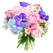 A hand-crafted bouquet is photographed against a bright white background, its rounded, generous form overflowing with pastel softness and rich jewel tones. At the centre, light pink and blush peonies open in full, layered blooms, their ruffled petals overlapping in billows that evoke the feel of soft fabric or gathered tulle, creating a dreamy focal point. Cradling these are rounded mounds of powder blue hydrangeas, every tiny floret contributing to a cloud-like base that cools and balances the pinks. Threaded throughout, deep purple Vanda orchids draw the gaze with their broad, velvety petals, intricately speckled in darker tones that lend an exotic, almost opalescent quality. Sleek fuchsia calla lilies curl through the arrangement, their trumpet shapes and deeper centres offering graceful lines and a contemporary accent of saturated colour. Smaller blush pink spray roses nestle between the larger flowers, each one a tight little rosette that adds charming detail and a sense of intimate romance. Around the outer edges, glossy dark leaves and soft, silvery-green dusty miller foliage intermingle, the contrast between smooth shine and velvety texture giving the bouquet depth and a tactile appeal. The stems are gathered neatly at the bottom, hand-tied and left visible, underscoring the bespoke nature of the design. The overall mood is elegant and celebratory, like a fresh spring arrangement destined for a townhouse near Canonbury Gardens or an intimate celebration off St Paul's Road, ideal for anniversaries, bridal bouquets, or a meaningful same-day delivery to someone special nearby.