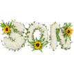 A tender, three-dimensional floral tribute spelling the word SON in bold capital letters, photographed on a stark white background so every texture reads clearly. Each letter is densely covered in pristine white chrysanthemums, their small, velvety heads packed together to form a soft, cloud-like surface that suggests peace and purity. Dark green ivy trails are woven through and around the letters, their glossy leaves curling gently across the chrysanthemums to add natural depth and the sense of an evergreen, unbroken bond. Bright yellow sunflowers with deep, textured brown centers punctuate the arrangement: one nestles into the upper left curve of the S, another sits low in the center of the O cradled by fern fronds and pointed green leaves, and a third blooms from the upper right of the N. The contrast of sunlit gold against clean white and rich green draws the eye and lifts the composition with warmth and hope. Soft studio lighting reveals the subtle shadows between the petals and the sheen on the ivy, while the faint, honeyed scent of the sunflowers and the light green, slightly herbaceous aroma of the foliage create a quiet, comforting presence. This is a sympathetic memorial piece, crafted with care to honour a beloved son - a visual language of purity, remembrance and gentle optimism. Neighbours from Canonbury Square to Essex Road will recognise the understated, thoughtful style common to local funeral tributes, where texture and placement carry as much meaning as colour.