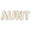 A beautifully composed funeral tribute forms the word AUNT in sturdy, upright letters, each one densely covered with immaculate white chrysanthemums. The flowers are arranged so closely that they create a smooth, cushion-like surface, every petal overlapping the next in a soft, textured tapestry. Subtle golden-cream centres peek out from the daisy-style blooms, bringing gentle warmth and life to the cool white palette. Running all around the outer edge of every letter, a pastel pink satin ribbon is neatly gathered into a ruffled border, its soft sheen catching the light and outlining the shapes with a tender, feminine softness. This pale pink trim adds emotional nuance, evoking gentle affection, nurturing care, and the quiet strength many people associate with their aunt. The entire arrangement is photographed against a bright white background in clear, even light, allowing every detail-from the pleated ribbon to the layered petals-to stand out in crisp relief. Supported by a hidden frame, the letters stand aligned and steady, ready to be placed at the heart of a funeral, wake, or celebration of life. Crafted with the kind of attention to detail you might expect from an experienced Canonbury florist serving streets around New River Walk and Canonbury Square, this tribute feels both formal and deeply personal. The overall mood is calm and reverent, a bespoke floral arrangement that offers a gentle, visual expression of love, remembrance, and gratitude for an aunt who meant so much to her family.