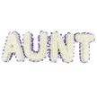 A comforting memorial tribute, the word 'AUNT' is spelled in large, three-dimensional letters entirely covered with tightly packed white spray chrysanthemums. The tiny, cloudlike florets create a plush, velvety surface across each letter; their pale yellow centres peek through occasionally like soft, reassuring heartbeats. A deep purple satin ribbon, gently ruffled and scalloped, traces the full perimeter of every letter, its sheen catching the soft studio light and providing a thoughtful contrast to the pure white blooms. Subtle grey shadows beneath the letters suggest their solid backing and lift them away from the white background, giving the arrangement a quiet, sculptural presence that reads clearly from a distance yet rewards closer inspection with delicate floral detail. The overall scent is faintly green and dewy - a clean, comforting lift rather than an intrusive perfume - which adds to the sense of calm and respectful remembrance. Crafted with the sense of care you would expect from a local Canonbury florist, this tribute balances dignity and tenderness: the resilience of the densely clustered chrysanthemums with the gentle, consoling flourish of lavender-toned ribbon. It evokes walks along Canonbury Square and moments of shared memory beneath the plane trees, offering a visual embrace for mourners and family. Ideal for funerals or memorial services in Canonbury and surrounding Islington neighbourhoods, the piece reads as a personal, handcrafted message of love and gratitude for a cherished aunt, standing as both a focal point in a service and a quiet expression of collective remembrance.