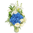 A tall, serene arrangement sits in a clear glass vase, photographed against a pure white backdrop so every texture and tone reads clearly. At the heart is a generous, rounded cluster of deep, royal-blue hydrangeas - plush, almost velvety in appearance - that anchors the composition with cool, saturated colour. Around and beneath that blue mass nestle several creamy white roses, their velvety petals unfolding in tight spirals that soften the bouquet's lower plane and add a warm, classical presence. Above the central hydrangeas rise sculptural white calla lilies, trumpet-like and porcelain-smooth, their pale green throats visible at the base and giving elegant vertical lines that draw the eye upward. Interspersed among the lilies are slim spires of white snapdragons or stock, tiny florets forming whimsical, upward-reaching texture that balances the roundness below. Throughout the design, glossy dark green leaves and lighter, feathery fern fronds provide contrast and a sense of lush depth, some fronds spilling gently toward the vase's rim to soften the silhouette. The stems are neatly gathered and visible through the transparent glass, submerged in clear water that catches the light and reinforces a feeling of freshness. The light is soft and even, suggesting morning studio light that highlights petal edges and the subtle scent of roses and cut greens. This blue-and-white composition reads as both sophisticated and comforting - appropriate as a sympathy tribute, an elegant anniversary gift, or a refined centerpiece for a small reception - and would suit homes and events across Canonbury and nearby New River Walk.