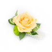 A single, hand-finished boutonniere photographed on a pristine white background, centred on a soft peach rose whose many layered petals unfurl from a tightly furled heart. The rose leans slightly off-centre, its inner petals carrying a deeper apricot warmth while the outer layers glow like champagne at dawn. Nestled beneath and to the left, a lime-green button chrysanthemum offers a compact, cushiony contrast - its densely clustered florets read almost like a mossy jewel against the rose's silk-soft curves. Deep green ruscus leaves form a sturdy backdrop, their glossy surfaces grounding the composition, while slender, variegated foliage with pale stripes is artfully curled to frame the bloom and add a modern, architectural twist. From the lower right of the cluster a delicate strand of white, pearlescent beads drapes in a gentle cascade, catching the bright studio light and lending a whisper of vintage glamour without overpowering the natural flowers. The lighting is clear and even, emphasising the textures - the velvety rose petals, the fine, almost cushion-like texture of the chrysanthemum, and the smooth sheen of the pearls - and the overall effect is one of poised elegance, perfect for a wedding buttonhole, prom corsage, or any formal celebration. A seasoned local florist might imagine this pinned to a lapel on a spring day in Canonbury, with the soft scent of rose mingling with fresh greenery on a walk past Canonbury Square or down to the New River Walk.
